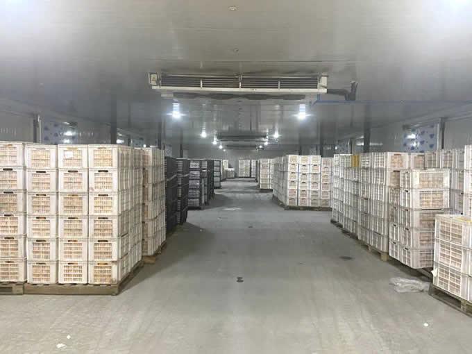 氣調(diào)庫(kù)的特點(diǎn)及優(yōu)點(diǎn)有哪些？