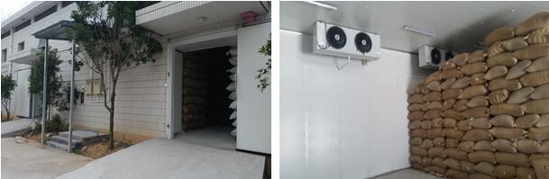 種子低溫冷庫(kù)制作工程