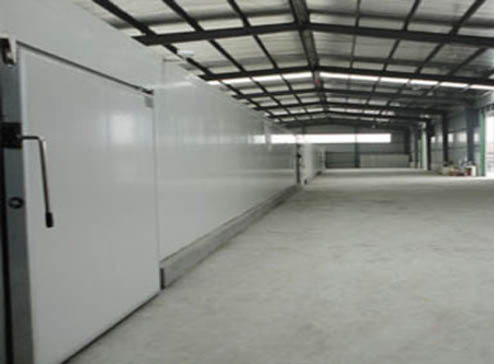 元祖食品1000立方低溫食品冷庫