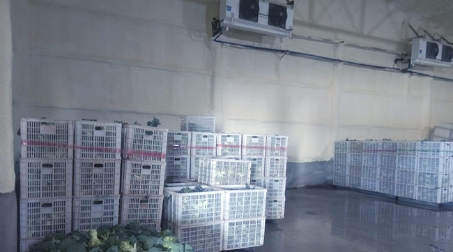 食品冷庫(kù)如何建造 食品冷庫(kù)造價(jià)