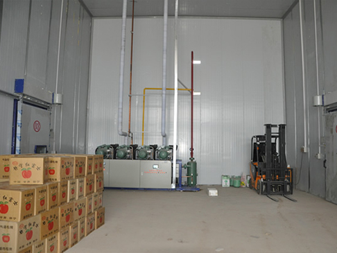 果蔬保鮮冷庫 果蔬保鮮冷庫