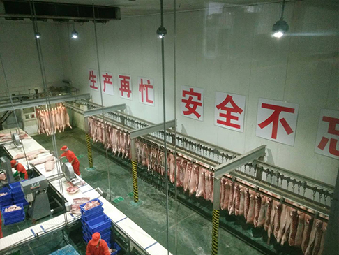 低溫冷凍庫 低溫冷凍庫