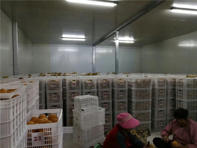 建造冷庫(kù)需要什么條件