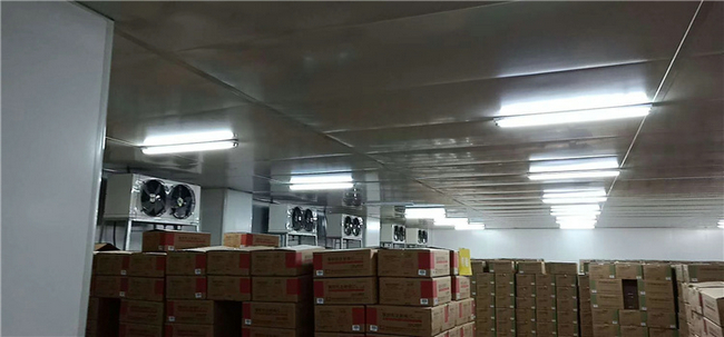 洋蔥冷庫(kù)儲(chǔ)存 洋蔥冷庫(kù)造價(jià)一般是多少錢