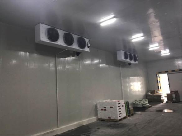 溫州低溫冷庫造價多少錢一平方？