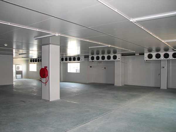 建造一個100平方肉類冷庫要多少錢？